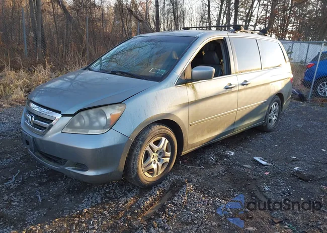 5FNRL38685B063011: 43747218