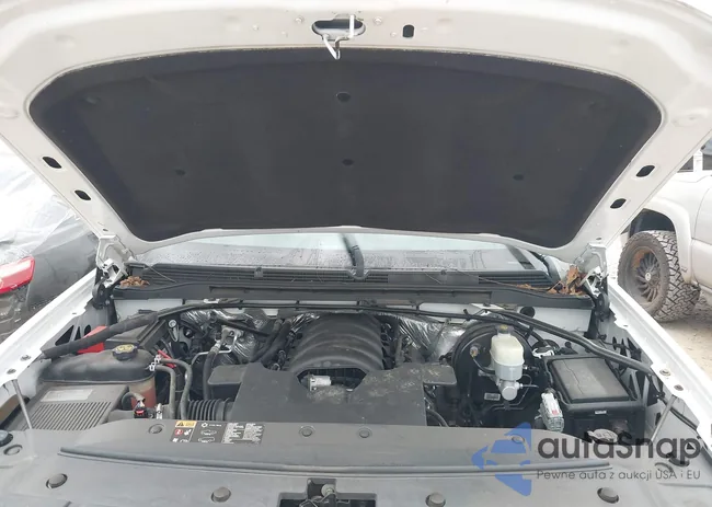 3GTP1MEC2GG207582: 43748621