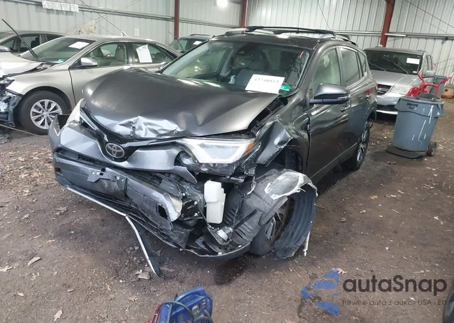 JTMWFREV2HJ709116: 43748815