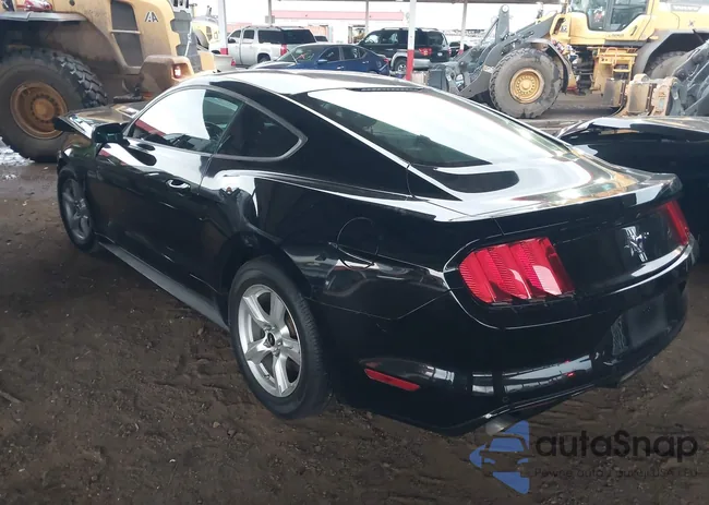 1FA6P8AM5H5312888: 43750037