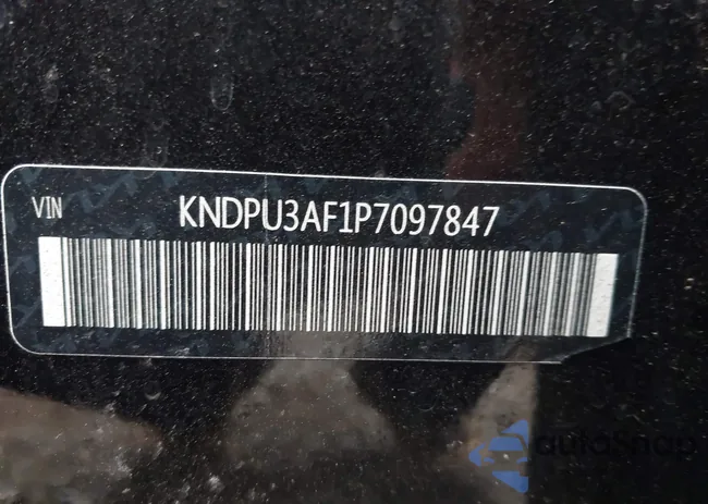 KNDPU3AF1P7097847: 43750040