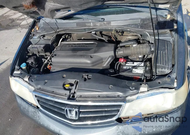 5FNRL18913B026944: 43750155