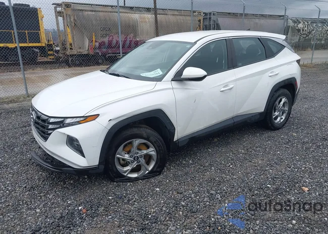 5NMJACAE2PH272458: 43750304