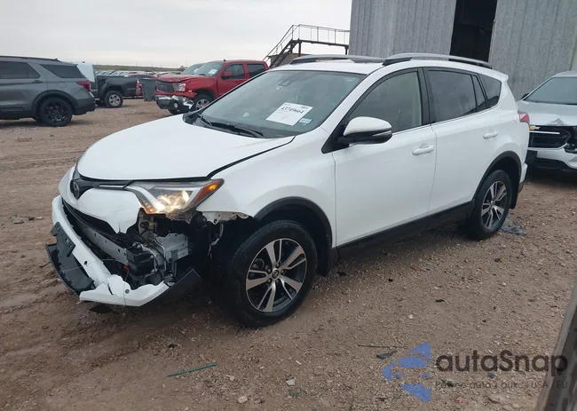 JTMWFREV1JJ734482: 43749664