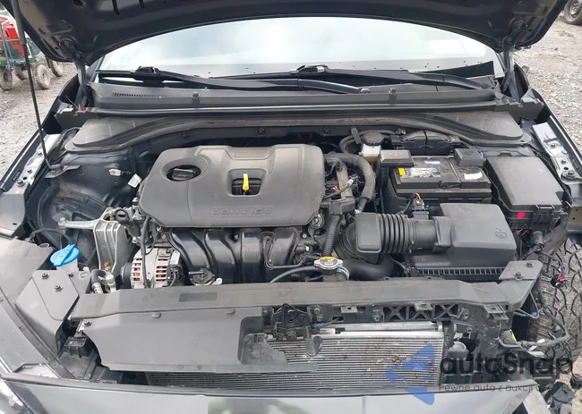 5NPD74LF1LH615569: 43751434