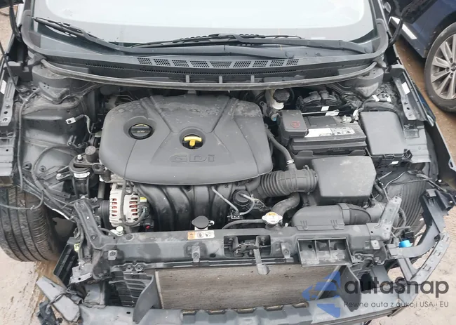 KNAFZ4A81G5551253: 43750731