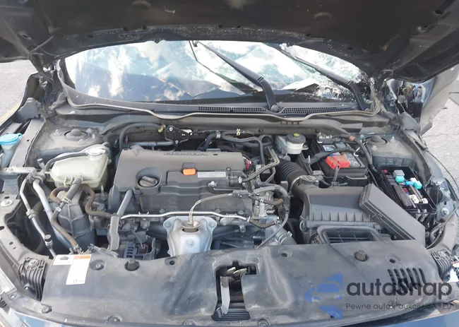 19XFC2F66LE203799: 43752048