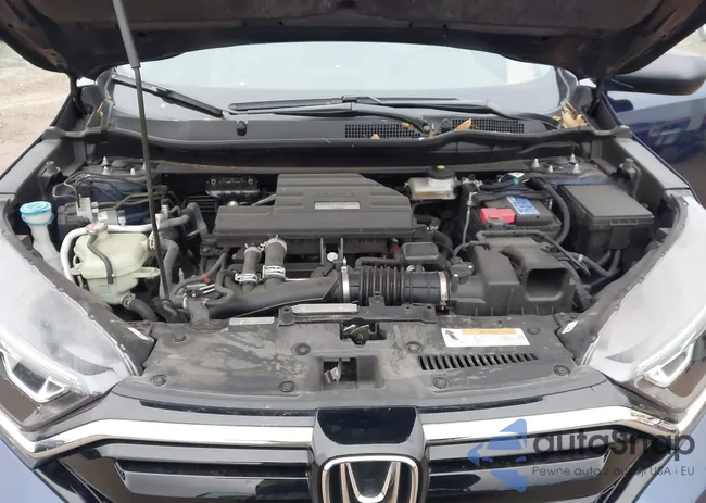 7FARW2H2XLE002310: 43751945