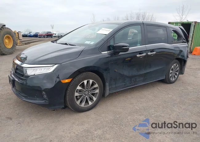 5FNRL6H64RB036556: 43753249