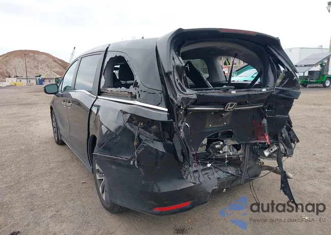 5FNRL6H64RB036556: 43753249