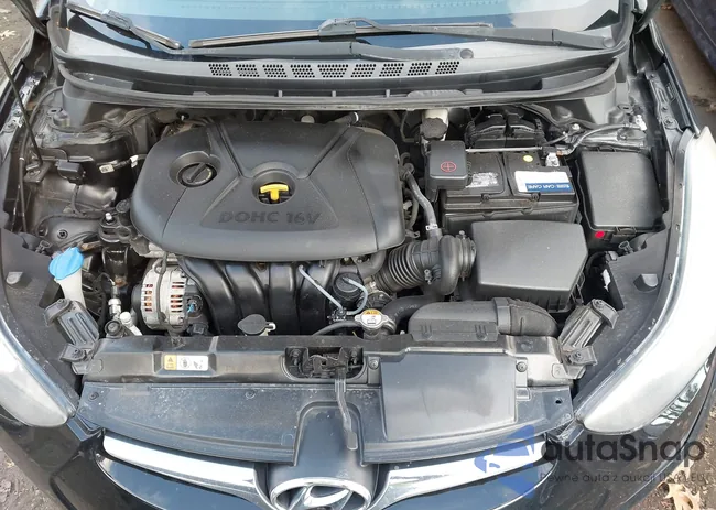 5NPDH4AE2GH794122: 43753968