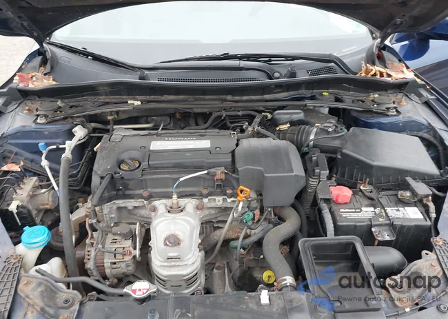 1HGCR2F83DA085056: 43755149