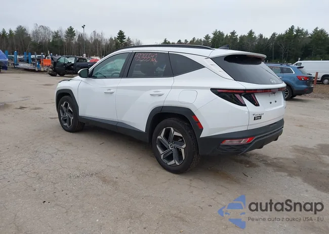 KM8JCCD15RU220221: 43755542