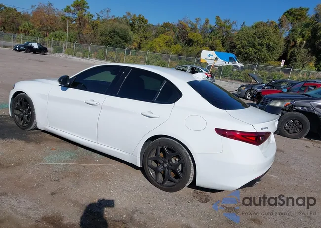 ZARFAMANXM7641524: 43754617