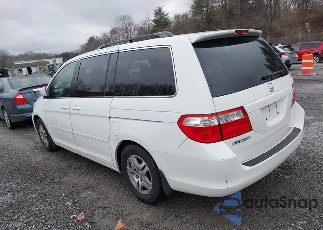 5FNRL38676B403492: 43756541