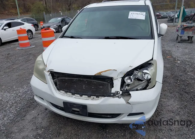 5FNRL38676B403492: 43756541