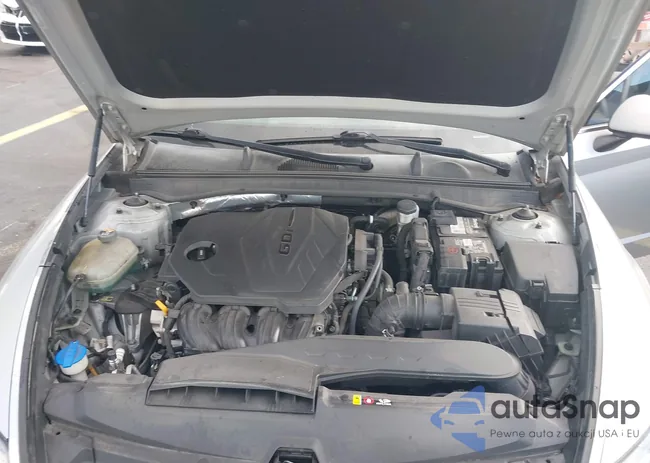 5NPEG4JA5LH047807: 43755667