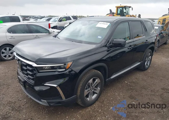 5FNYG2H44RB003256: 43755694