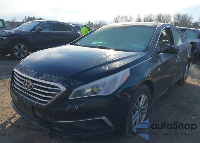 5NPE24AF9HH510632: 43755812