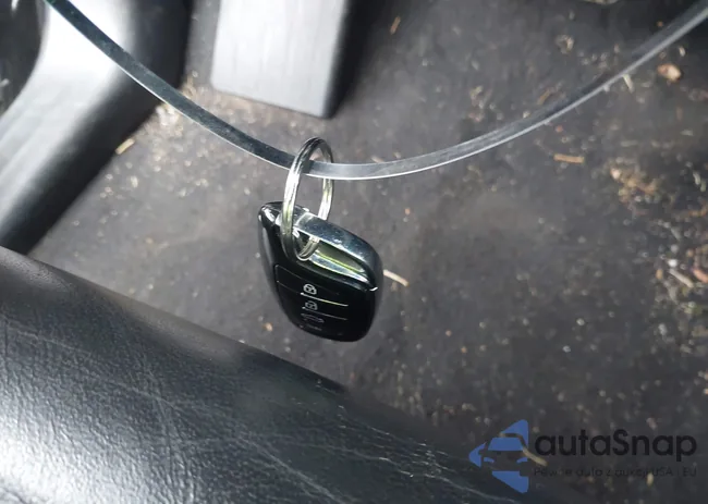 5N1AL0MM5DC318348: 43755902