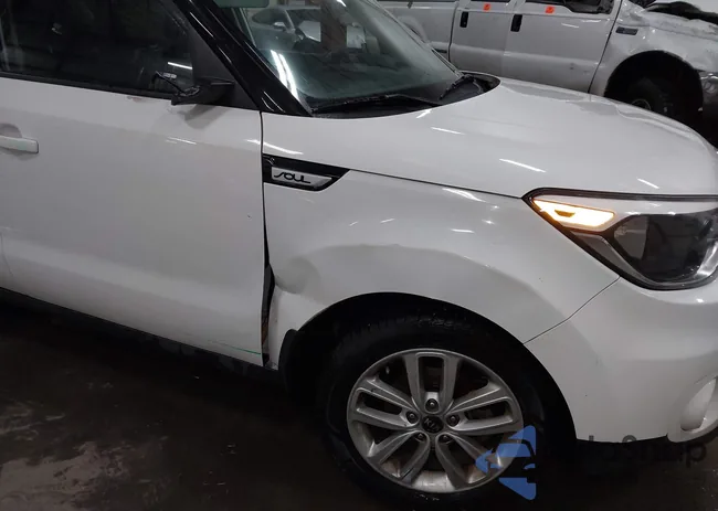 KNDJP3A51K7668315: 43757339