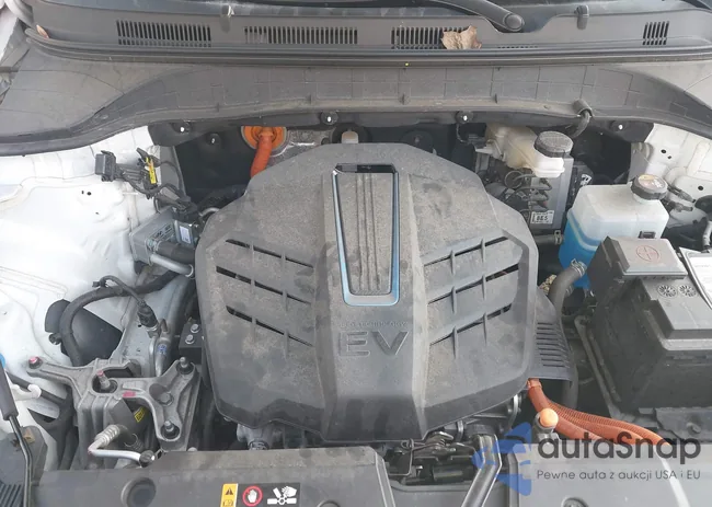 KM8K23AG7PU190071: 43756843