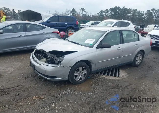 1G1ZT548X4F159051: 43756917