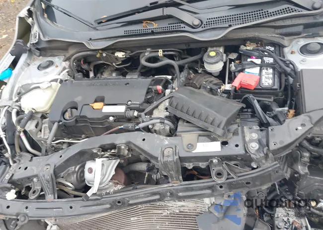 2HGFC2F66LH563080: 43758009