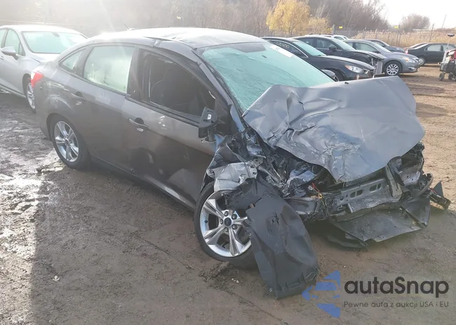 1FADP3F25EL397210: 43758135