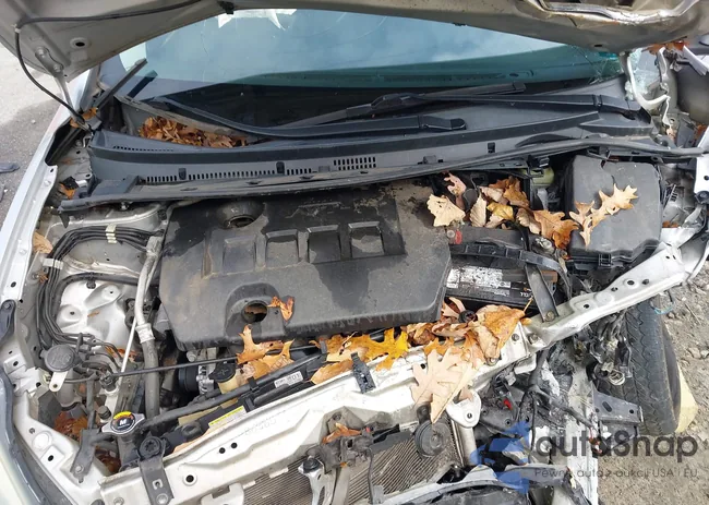 2T1BURHE8FC405717: 43758371