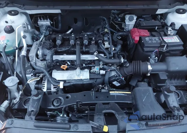 3N1CP5CV1RL562294: 43757669