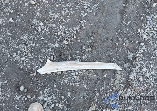 2G1WG5E31C1239760: 43759251