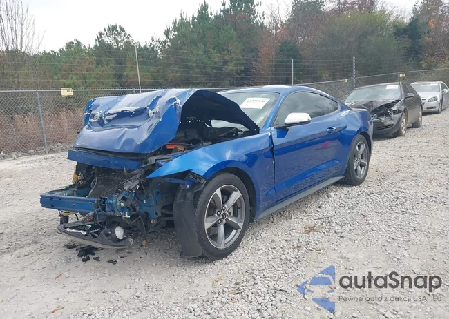 1FA6P8AM9H5304745: 43759656