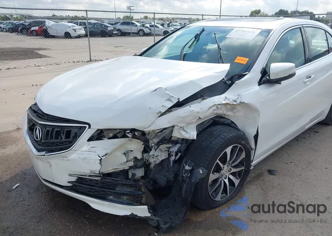 19UUB1F39FA029875: 43761131