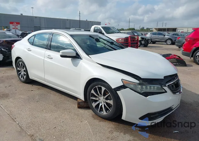 19UUB1F39FA029875: 43761131