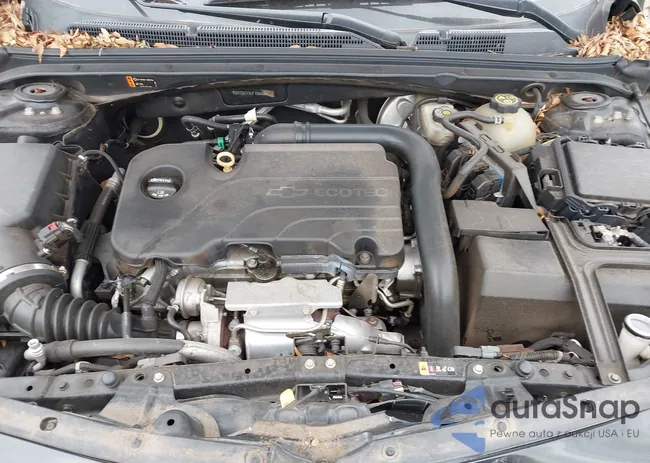 1G1ZD5ST8JF136688: 43762099