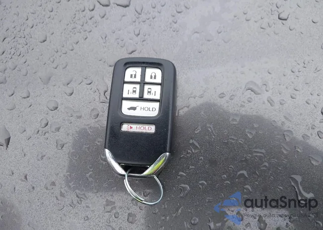 5FNRL5H65FB030447: 43762271