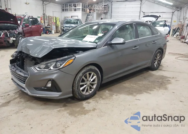 5NPE24AF3JH704028: 43761624