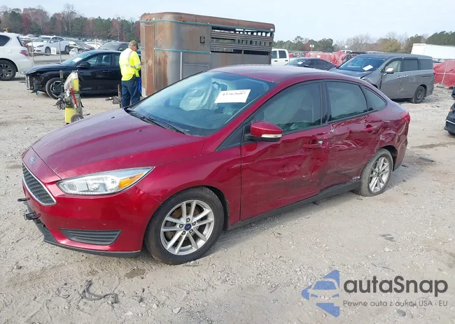 1FADP3F24GL279619: 43762607