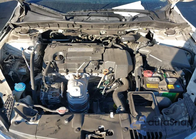 1HGCR2F31DA156260: 43763827