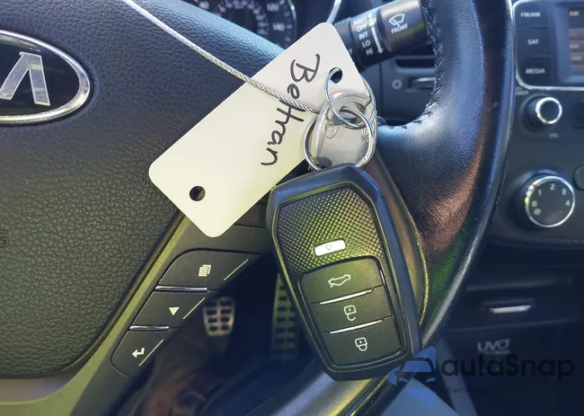 KNAFZ6A35G5604584: 43763953