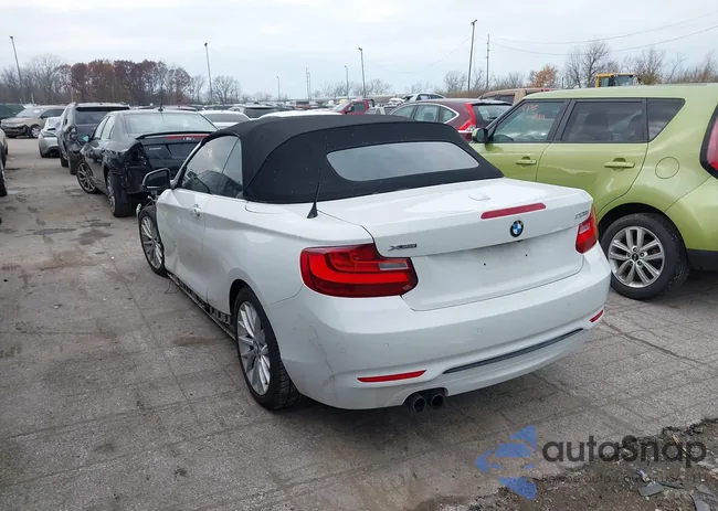 WBA1L9C53GV325128: 43765176