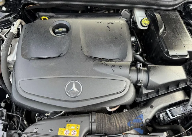 WDDSJ4EB5JN679622: 43764685