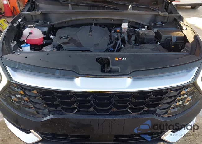 5XYK43DF4RG147748: 43765599