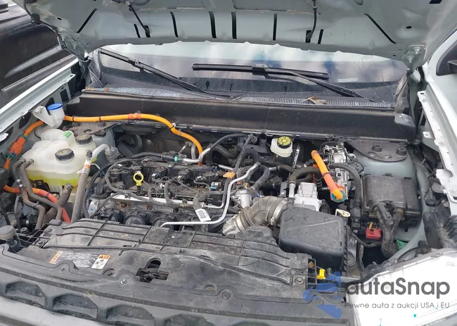 3FTTW8H37RRB60222: 43765853