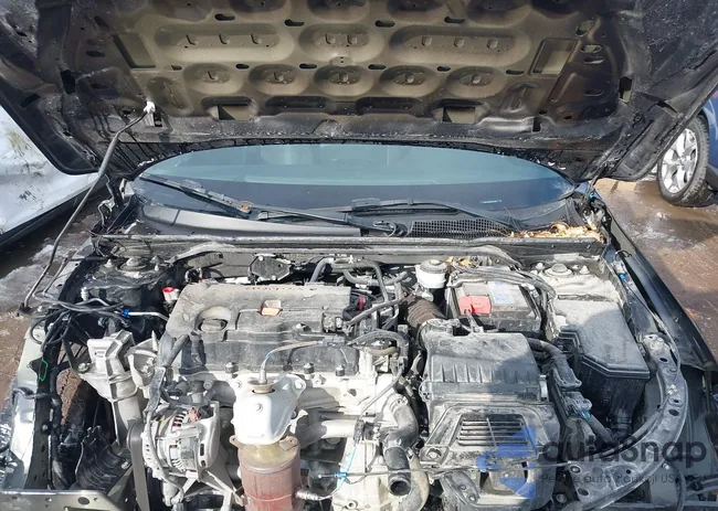 19XFL2H87PE012302: 43767358