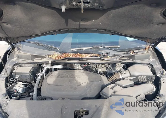 5FNRL6H65RB018907: 43767451