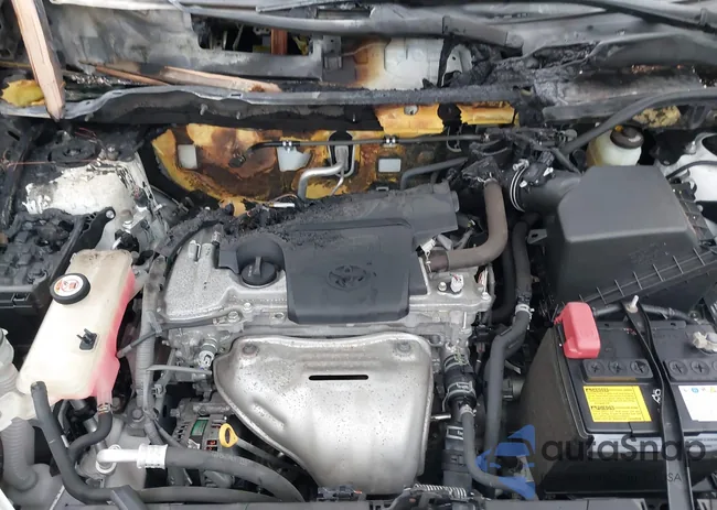 JTMRFREV0JJ251918: 43768012