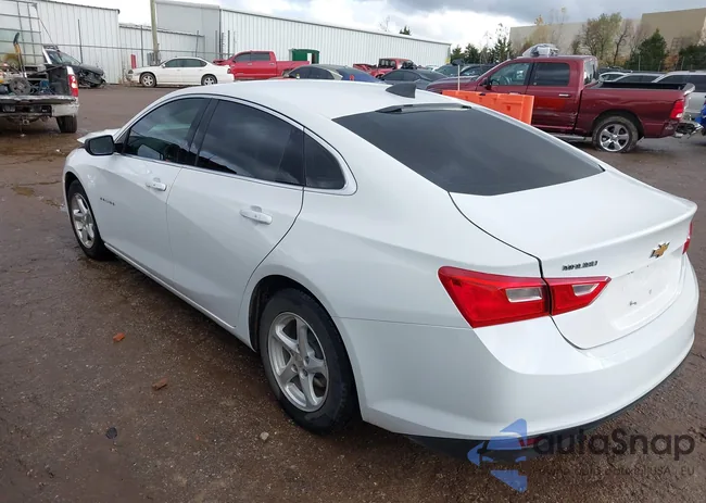 1G1ZB5ST7HF166992: 43768822