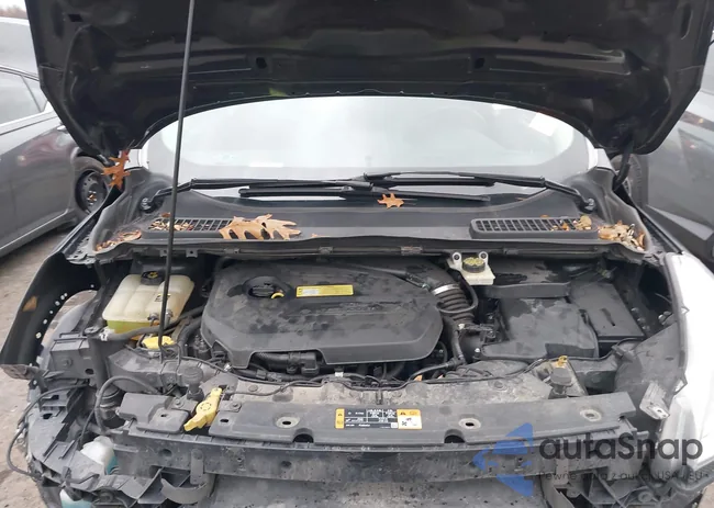 1FMCU9HX0DUD67627: 43770356